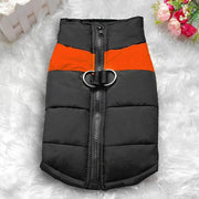 🐾 Winter Waterproof Dog Vest — Fleece-Lined, Zipper & Built-in Harness (S–7XL)
