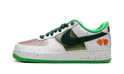 Air Force 1 Low "Ducks of a Feather University of Oregon" IU7613 100