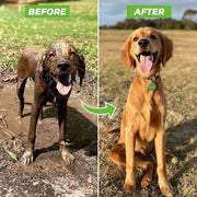 🐕 Dog Bath Sprayer with Soap Dispenser — 8-Mode Hose Attachment