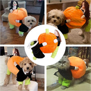 🎃 Dog Halloween Costume — Deadly Doll & Guitar Dog