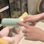 🐾 Pet Hair Roller — Reusable Lint Remover
