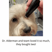 ✂️ Pet Mini Safe Trimmer — Quiet Cordless Grooming for Dogs & Cats
