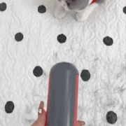 🐾 Pet Hair Roller — Reusable Lint Remover