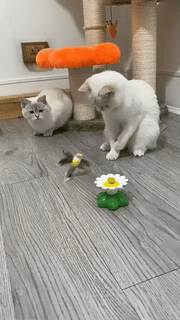 Electric Bird Cat Toy That Moves