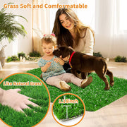 🐾 Indoor Dog Grass Pee Pad — Easy Potty Training