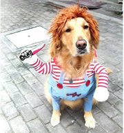 🎃 Dog Halloween Costume — Deadly Doll & Guitar Dog