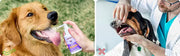 🦷 Pet Teeth Cleaning Spray — VOHC Certified, Kills 98.99% Bacteria, Dogs & Cats