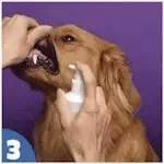 🦷 Pet Teeth Cleaning Spray — VOHC Certified, Kills 98.99% Bacteria, Dogs & Cats