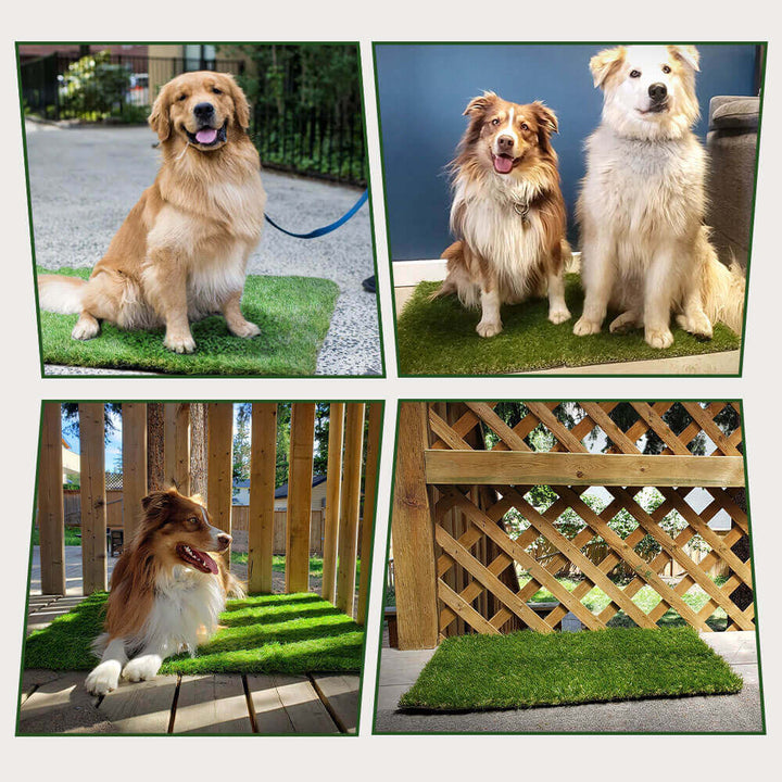 🐾 Indoor Dog Grass Pee Pad — Easy Potty Training
