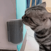 🐱 Cat Corner Self-Groomer — Wall-Mount Massage Brush with Catnip Compartment
