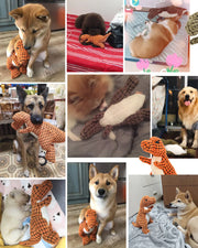 Robust Dino — Dog Toy 2.0 Upgraded Version