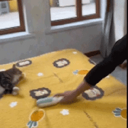 🐾 Pet Hair Roller — Reusable Lint Remover