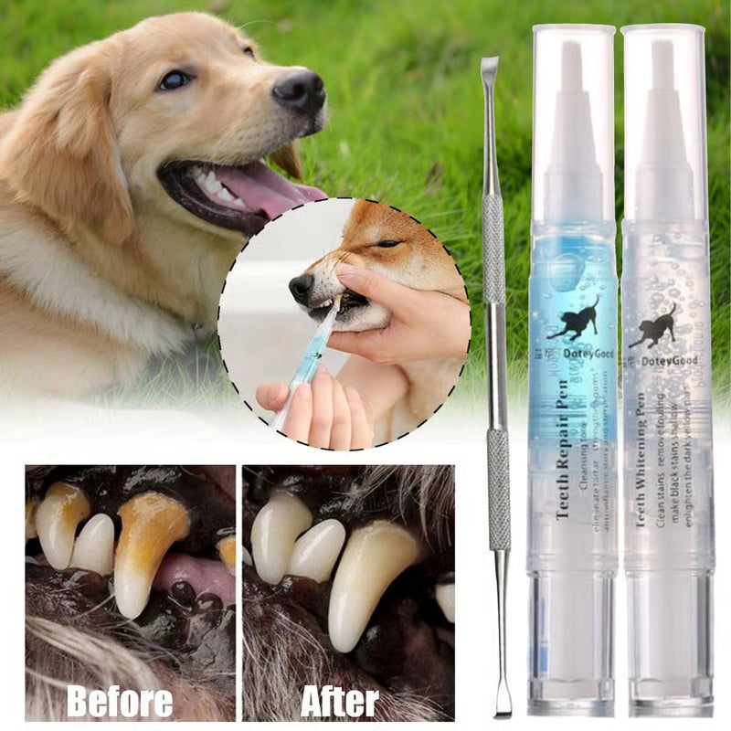 Pet Training & Wellness